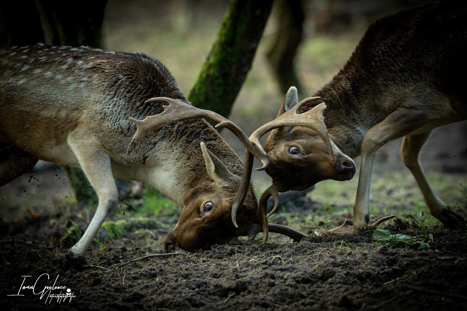 22 oktober 2023 123912  R2A8735